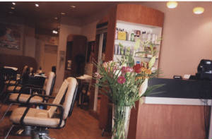 Bloor West Village Hair Salon: Curly And Fine Hair Artists